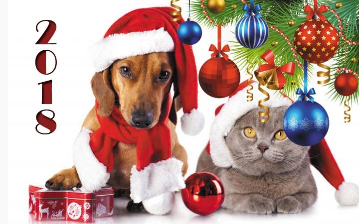 Дарлайк предлагает вам  скачать бесплатно картинки с Новым годом собаки 2018, которые вы сможете  послать всем своим друзьям, близким и знакомым в этот чудесный, зимний  праздник.-2