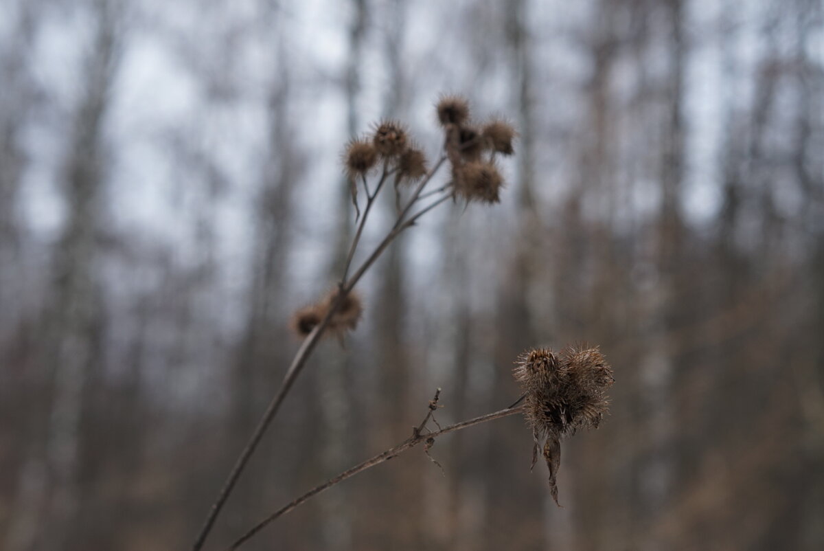 "Вот такое хр*новое лето"