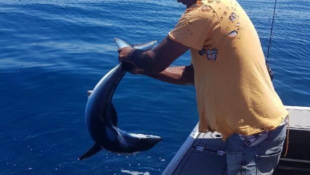 Фото: Tamaki marine park