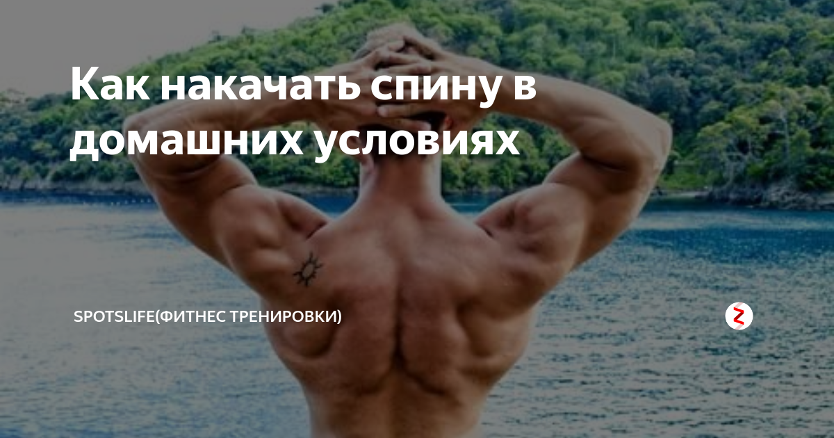 как накачать спину дома без турника