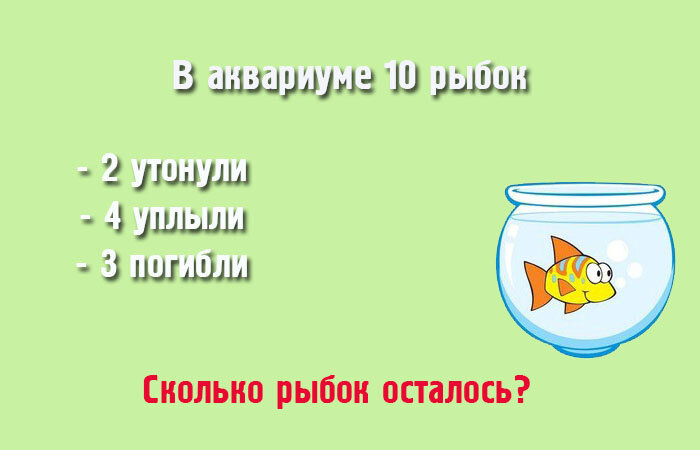 Загадки на логику, интересные вопросы на смекалку