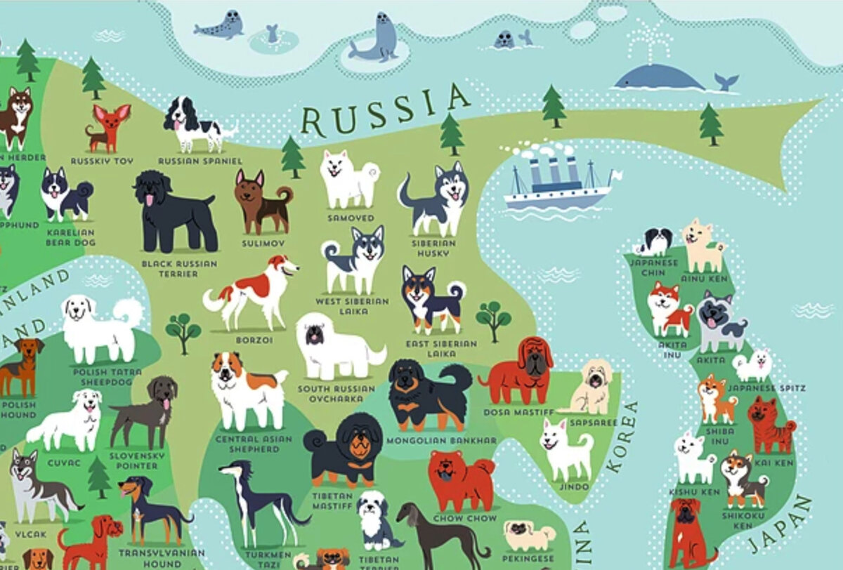 Породы собак из России