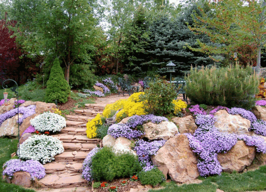 Что такое «каменистая горка»? Hack Garden.