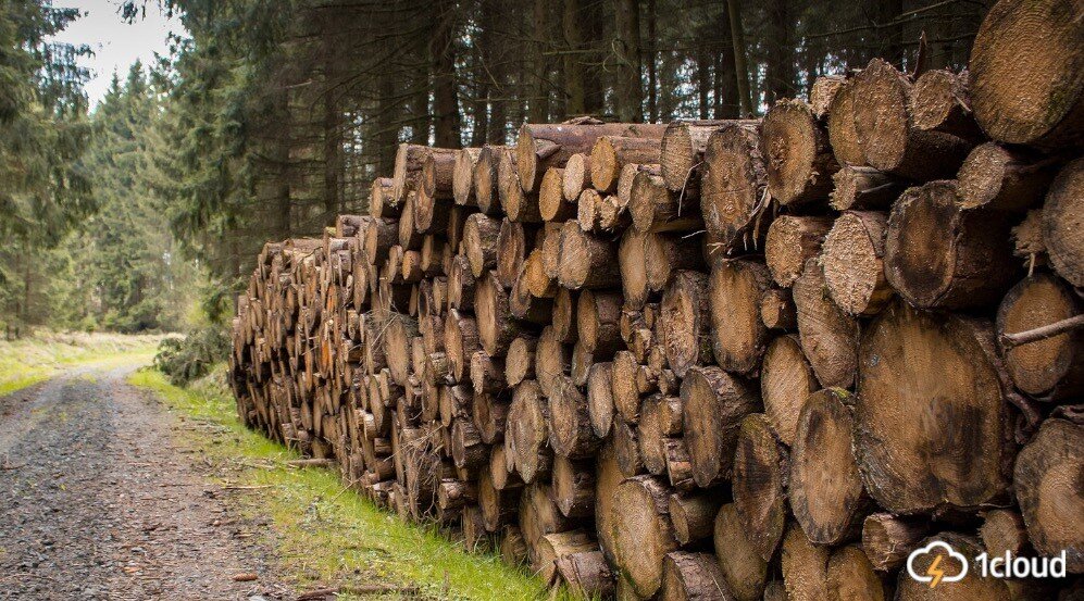 / Pixabay / picupyourphoto / PD