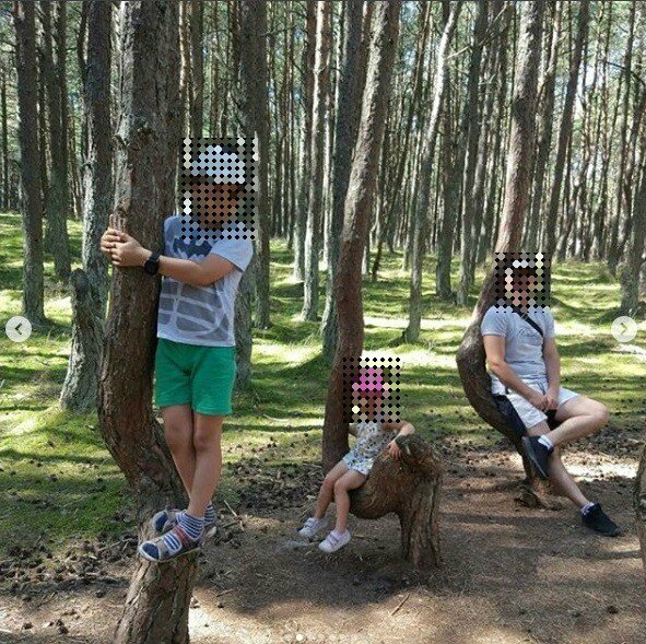 Фото из социальных сетей