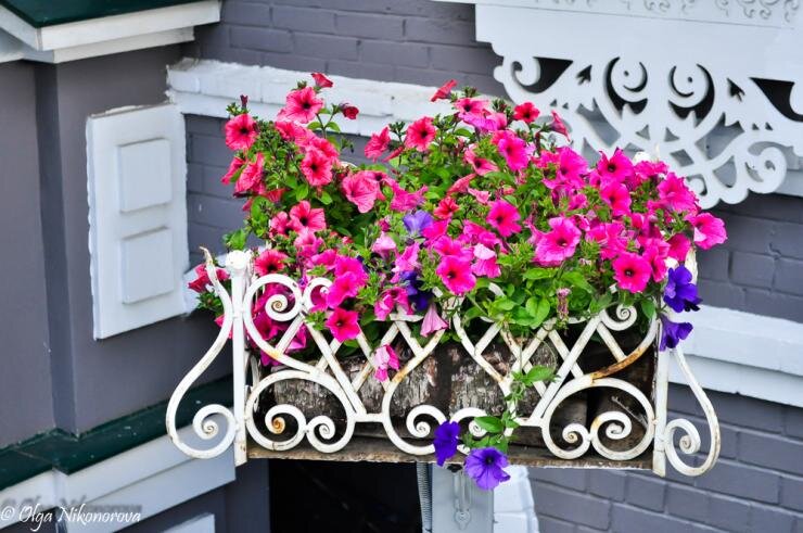 
Размеры и форма участка в деревенском стиле