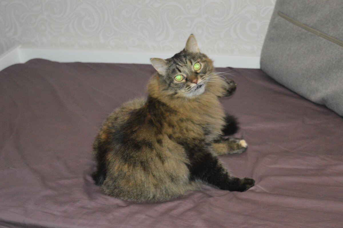 из личного архива. когда мы вновь стали кушать и наглеть