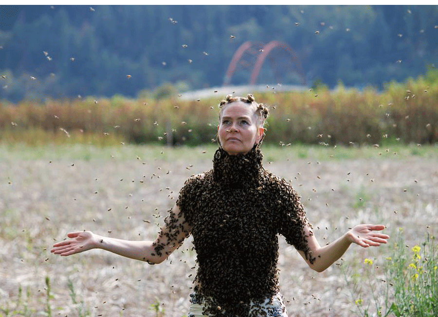    Занимаясь пчеловодством, могу сказать уверенно, что когда тебя жалит 1-2 пчелы, во время работы с пчелиной семьей, это не очень приятное ощущение.