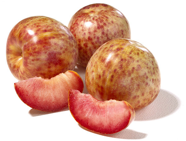 Plumcot deals