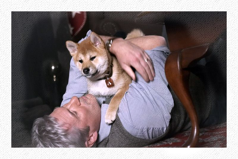 кадры из фильма