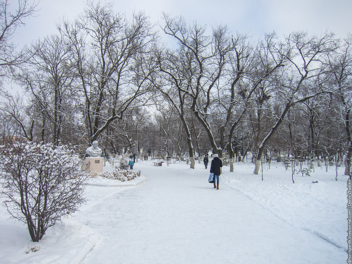 парк в аткарске