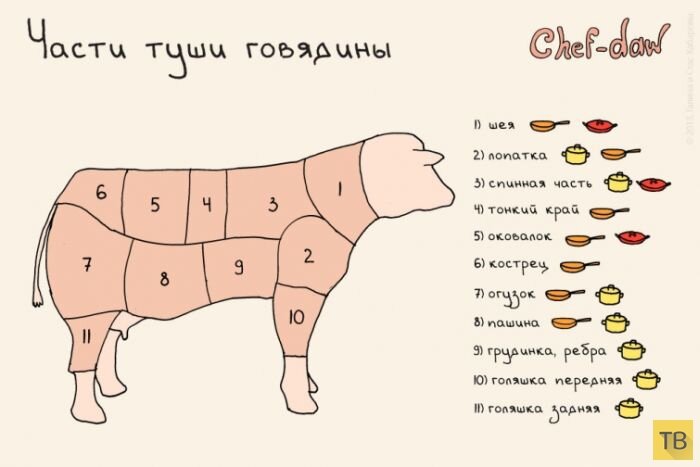 Части туши говядины