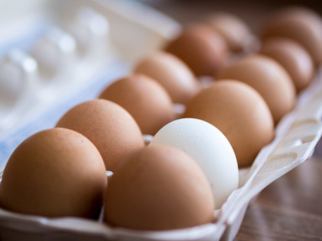 Определение подходящих яиц для инкубации