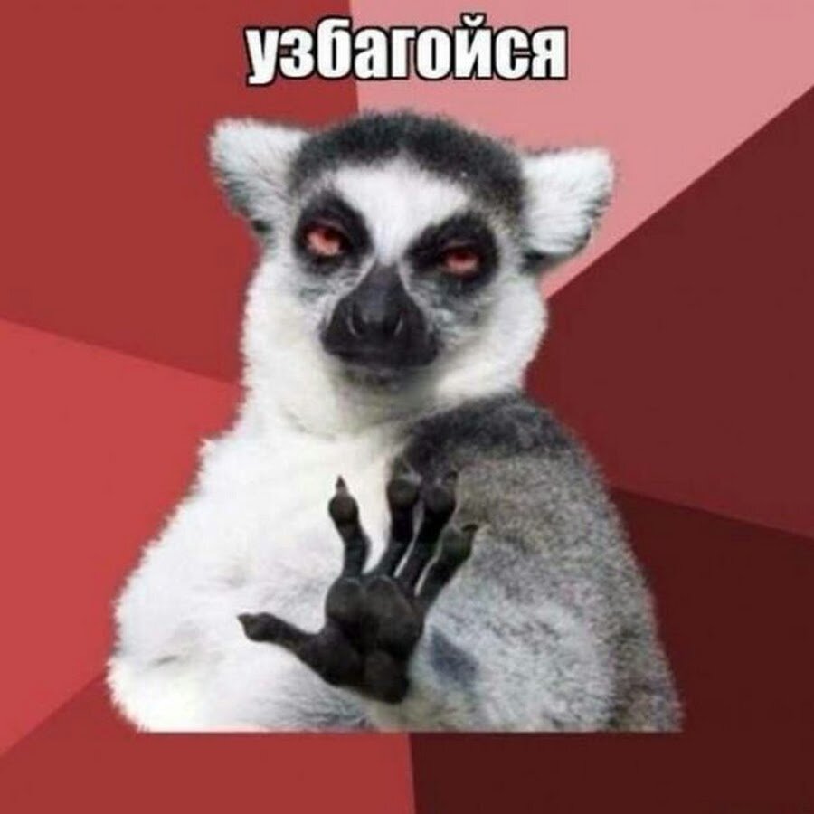 Мем 2013 года