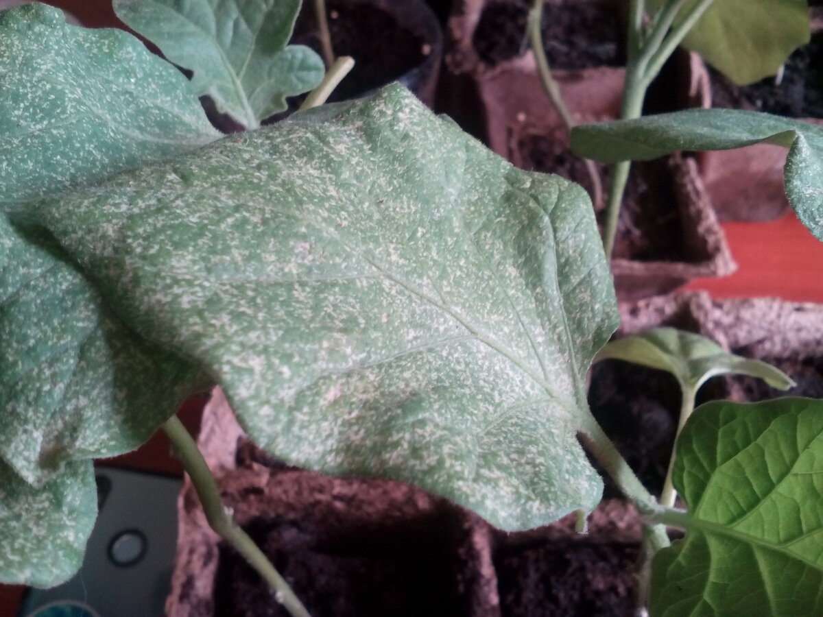 Здесь ситуация еще хуже