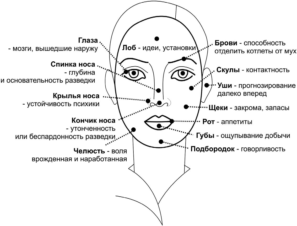 Физиогномика лица с картинками