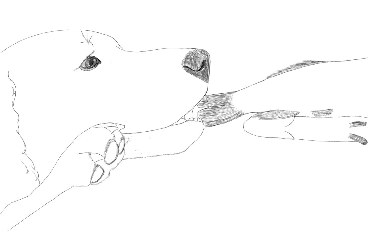 Оказывается, пельмени рисовать сложнее, чем собак! Поэтому на рисунки пес ворует воблу))) (я художник, мне можно!)