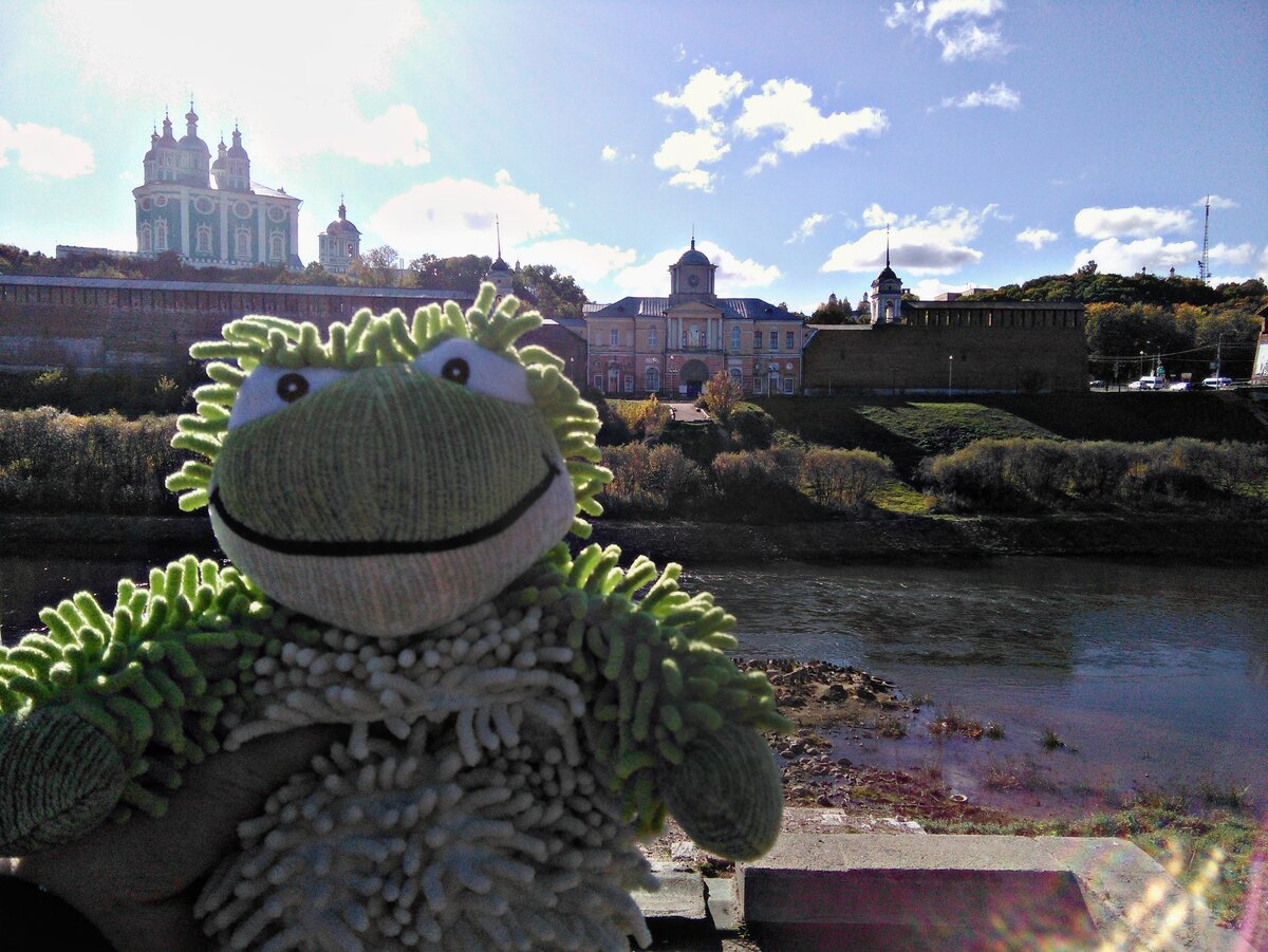 Лаванда в Смоленске.