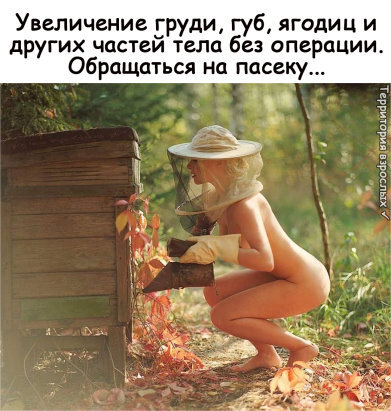  Территория взрослых 