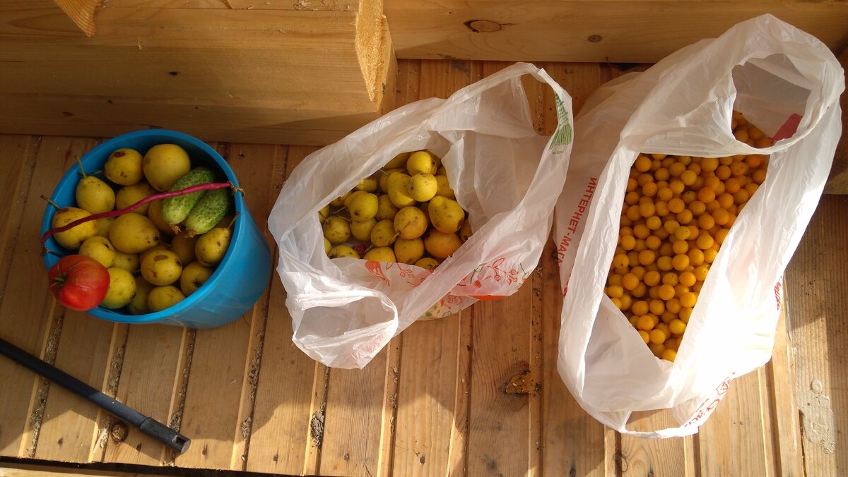 Источник: фото автора