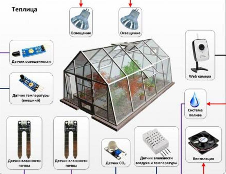 Бюджетная пленочная теплица – как построить самому за дня | Дела огородные (sauna-chelyabinsk.ru)