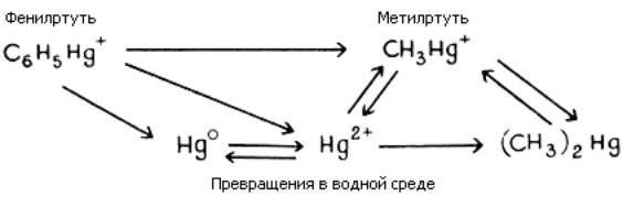 Превращение металлов. Метилирование ртути. Неорганические соединения ртути. Схема соединения ртути. Ртуть органическими веществами.