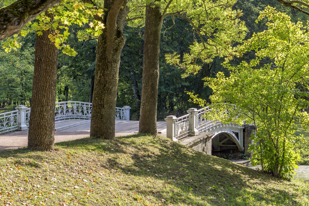 Александровский парк фото. Александровский парк Царское село парк. Царское село Александровский парк пейзажный парк. Александровский парк царского села. Александровский сад Царское село.