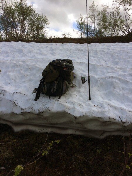 Снег в июле. Север Кольского полуострова.