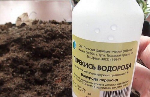 Перекись водорода большое подспорье огороднику
