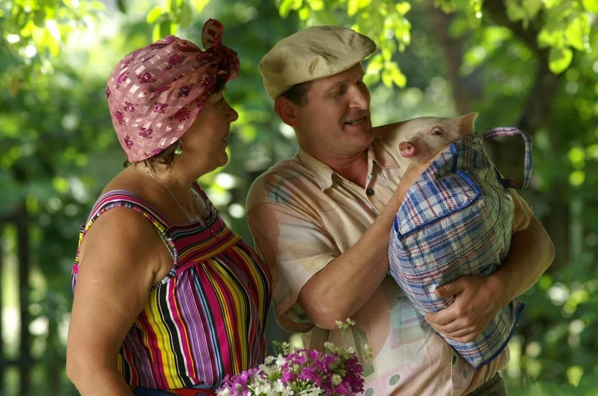 Кадр из сериала "Сваты"