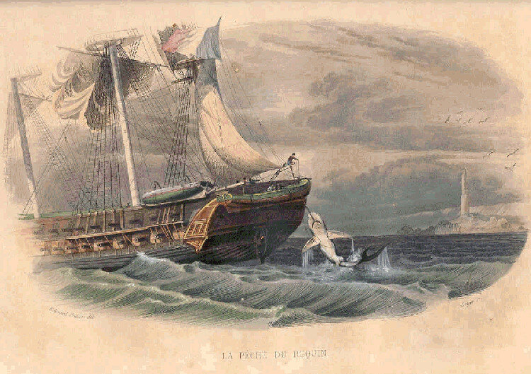 Акулий промысел. Картина Бернара Жермена де Ласепеда (1839 г.)