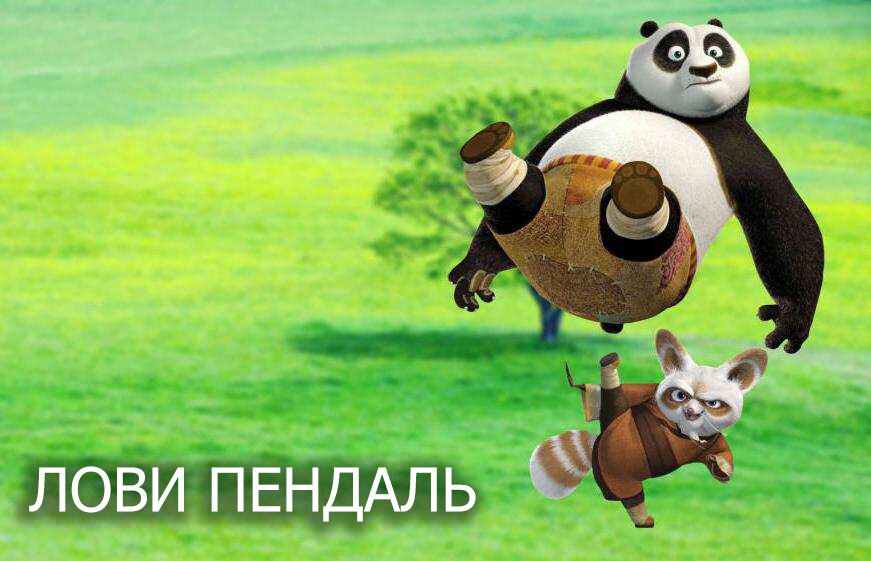 кадр из мультфильма "Кунг фу Панда"