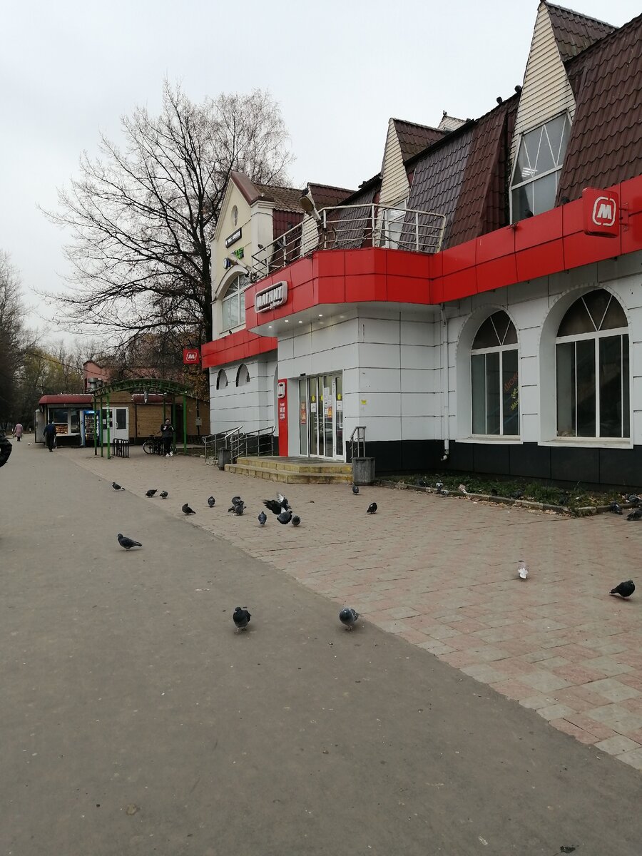 Магнит. Фото автора.