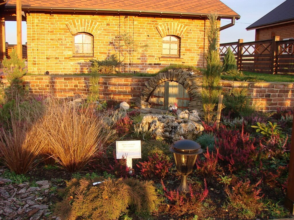 Выбор места для посадки вереска