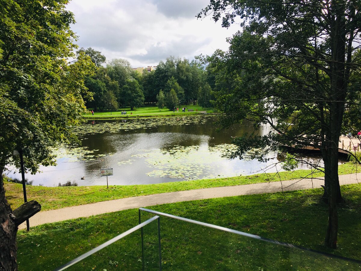 Вид с террасы.