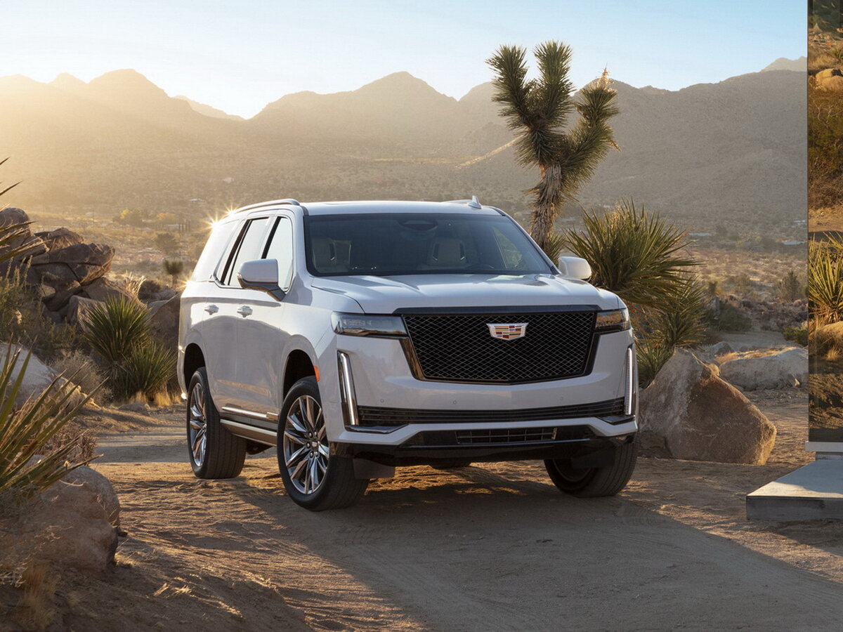 Фото из Яндекс. Картинки 