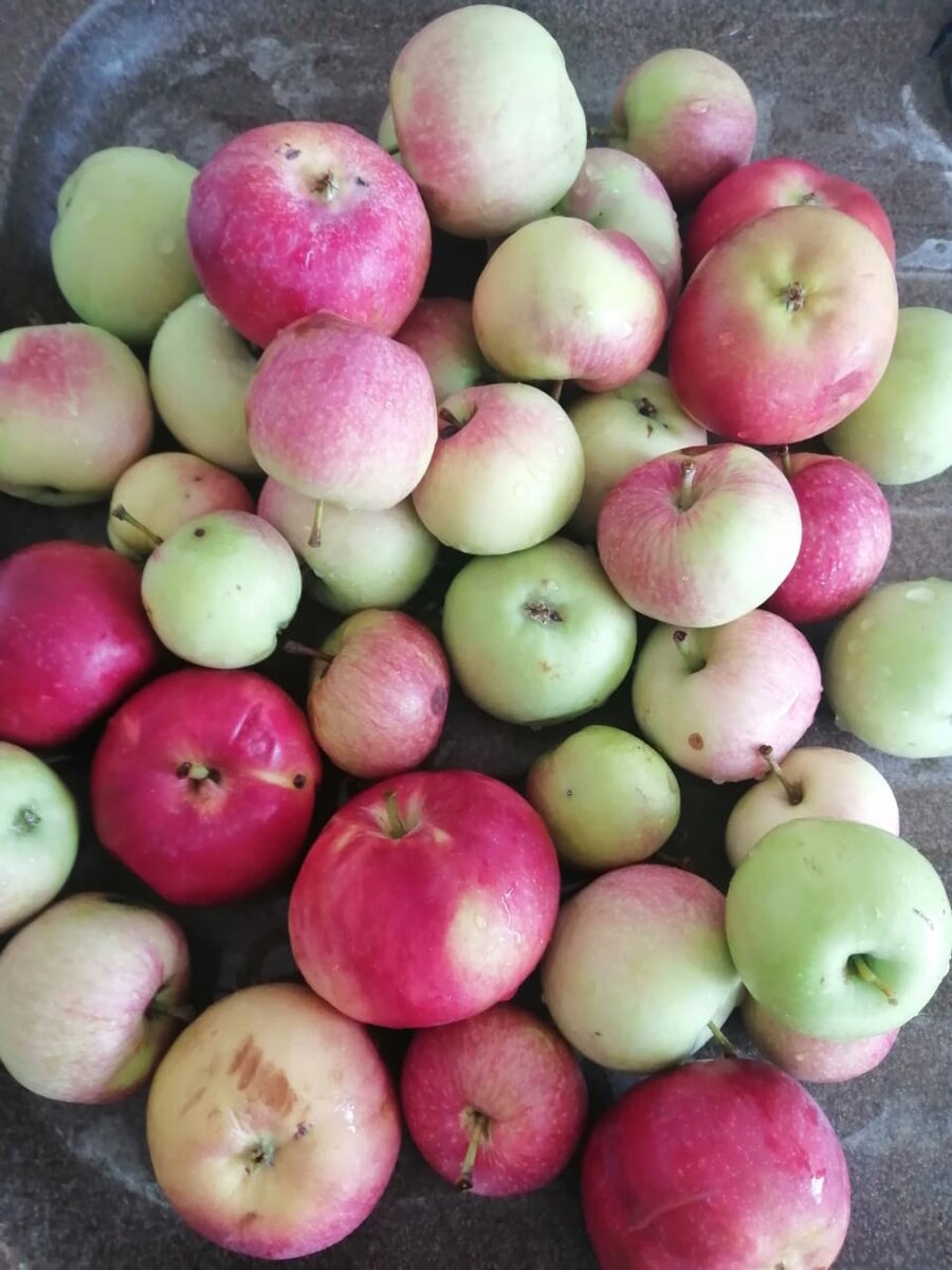 Яблоки, падалица