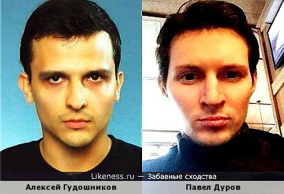 Алексей гудошников биография личная жизнь Правда Алексея Гудошникова иммунитет Дзен