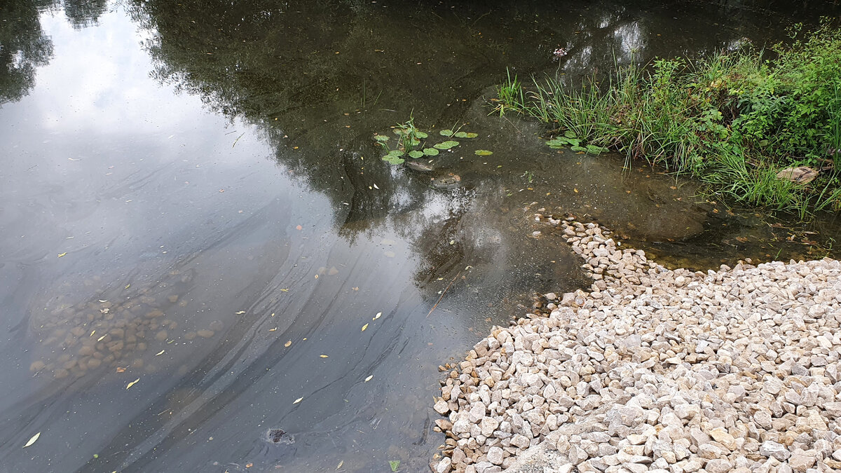 Видна затопленная в реке железобетонная балка - ограждение старого моста
