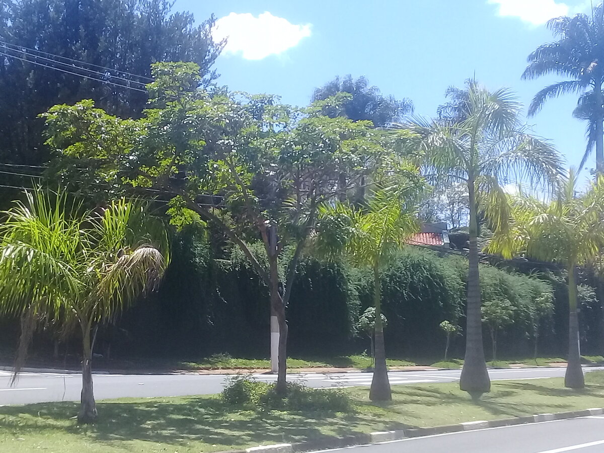 Бразильская улица. Фото автора.