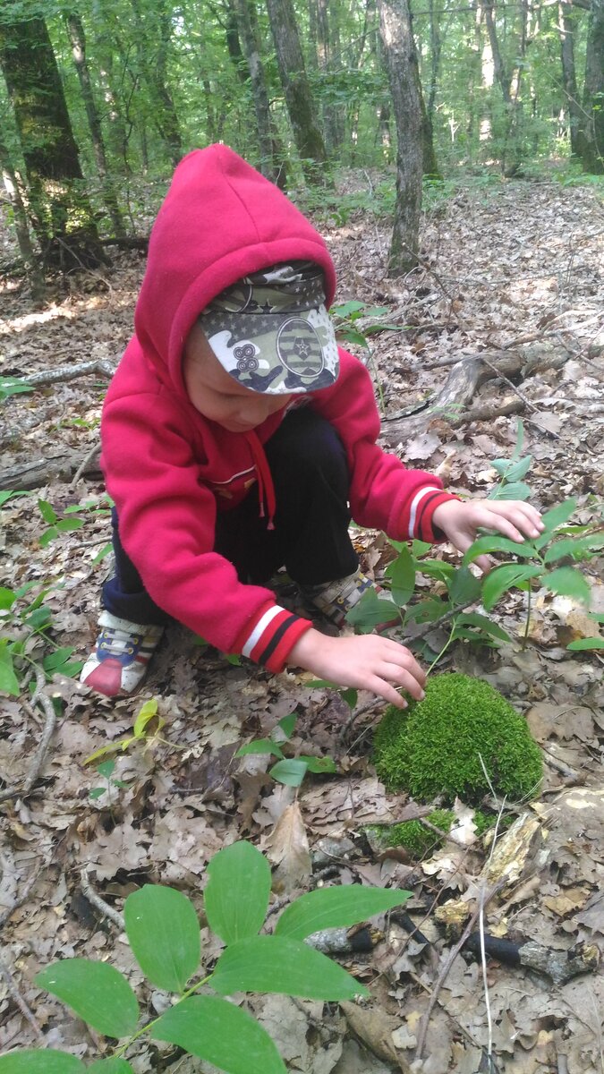 Смотри руками