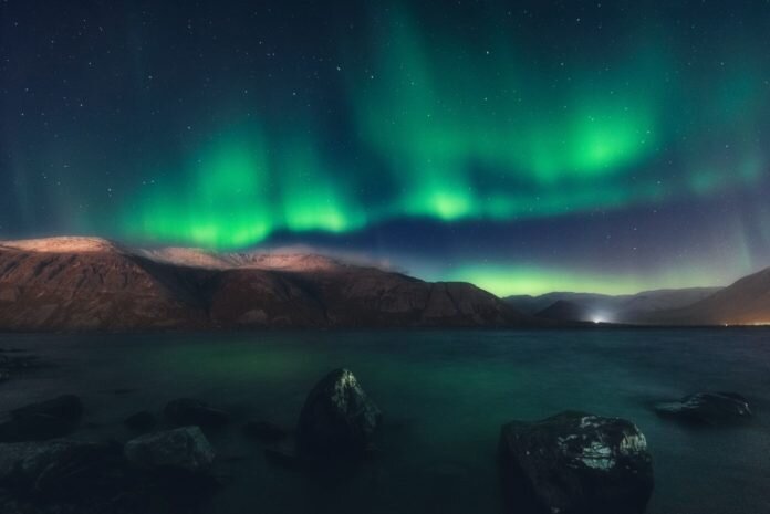 фото: Алексей Соколенко