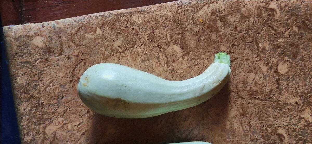 �������� �����