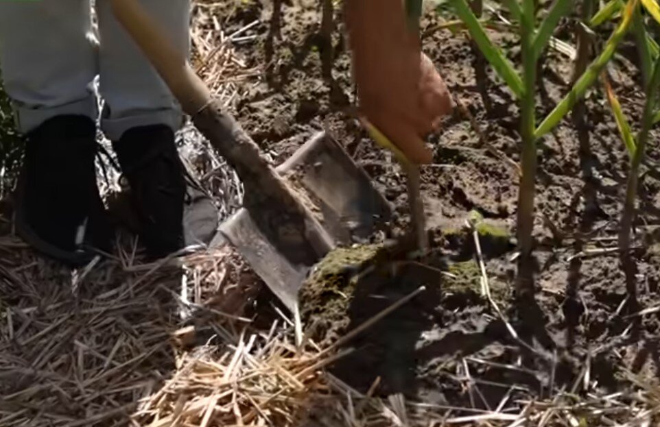 Фото: Дмитрий Кастрицкий