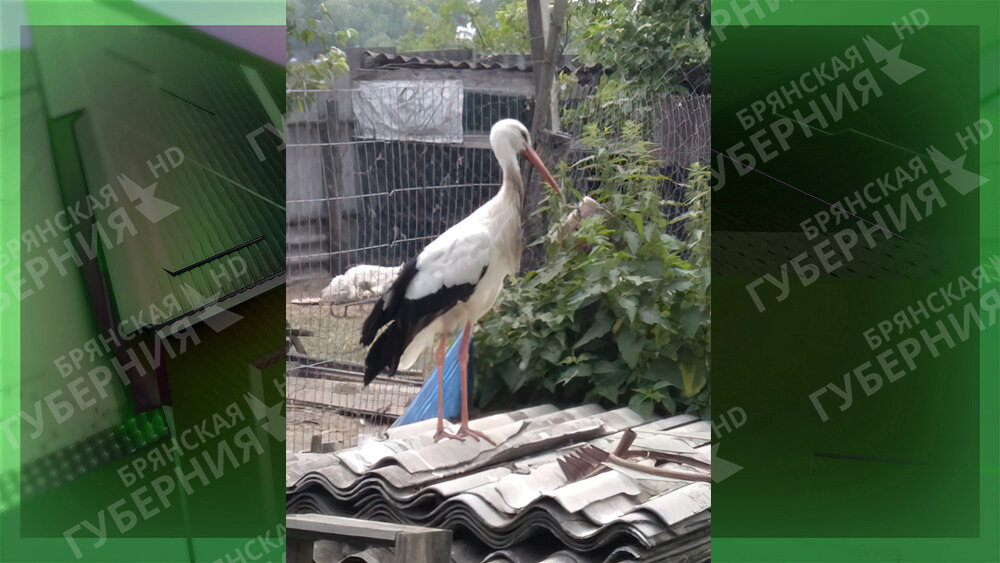 ФОТО: «Восход»