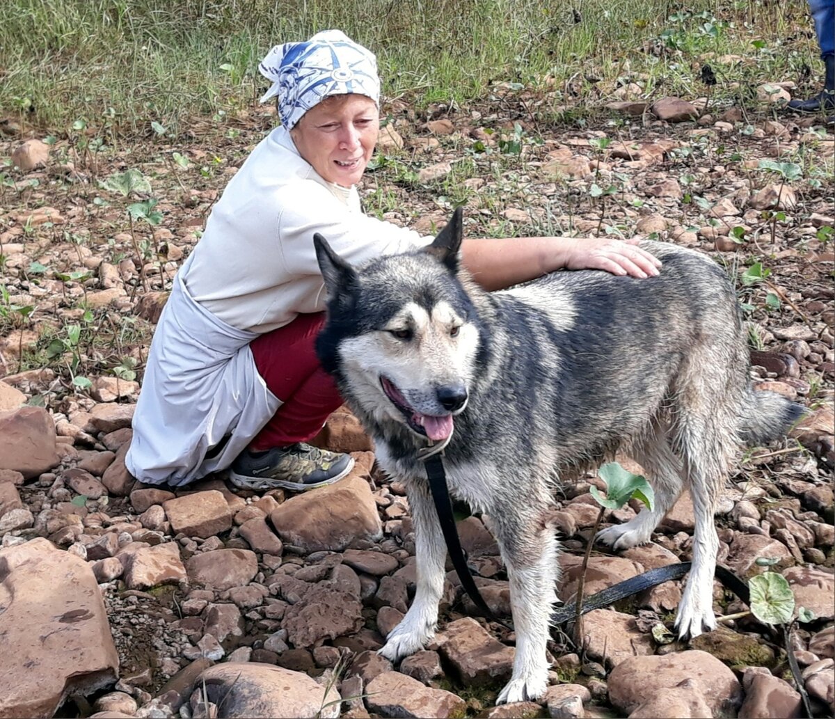 Вайс. Он же Вася. Недоверчивый пес, который подпускает к себе только избранных