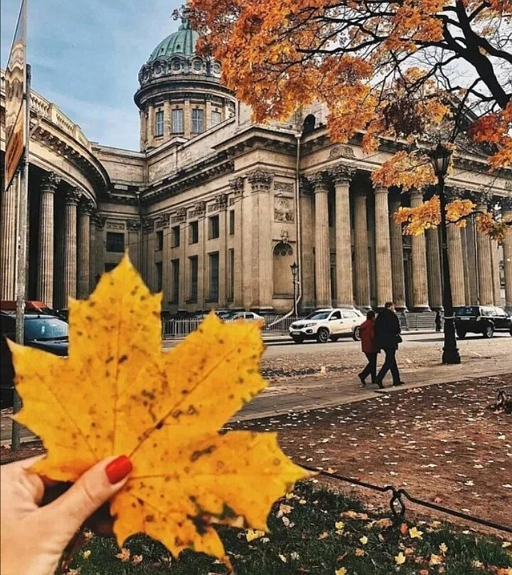 Яркие впечатления осени... 