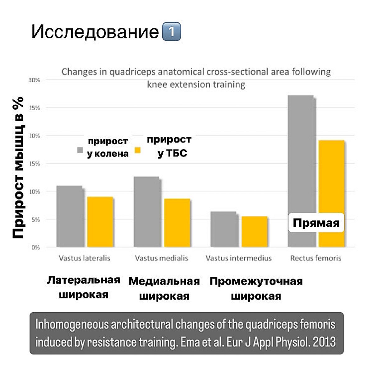 Прирост 4х головок квадрицепса от разгибания ног на тренажёре 