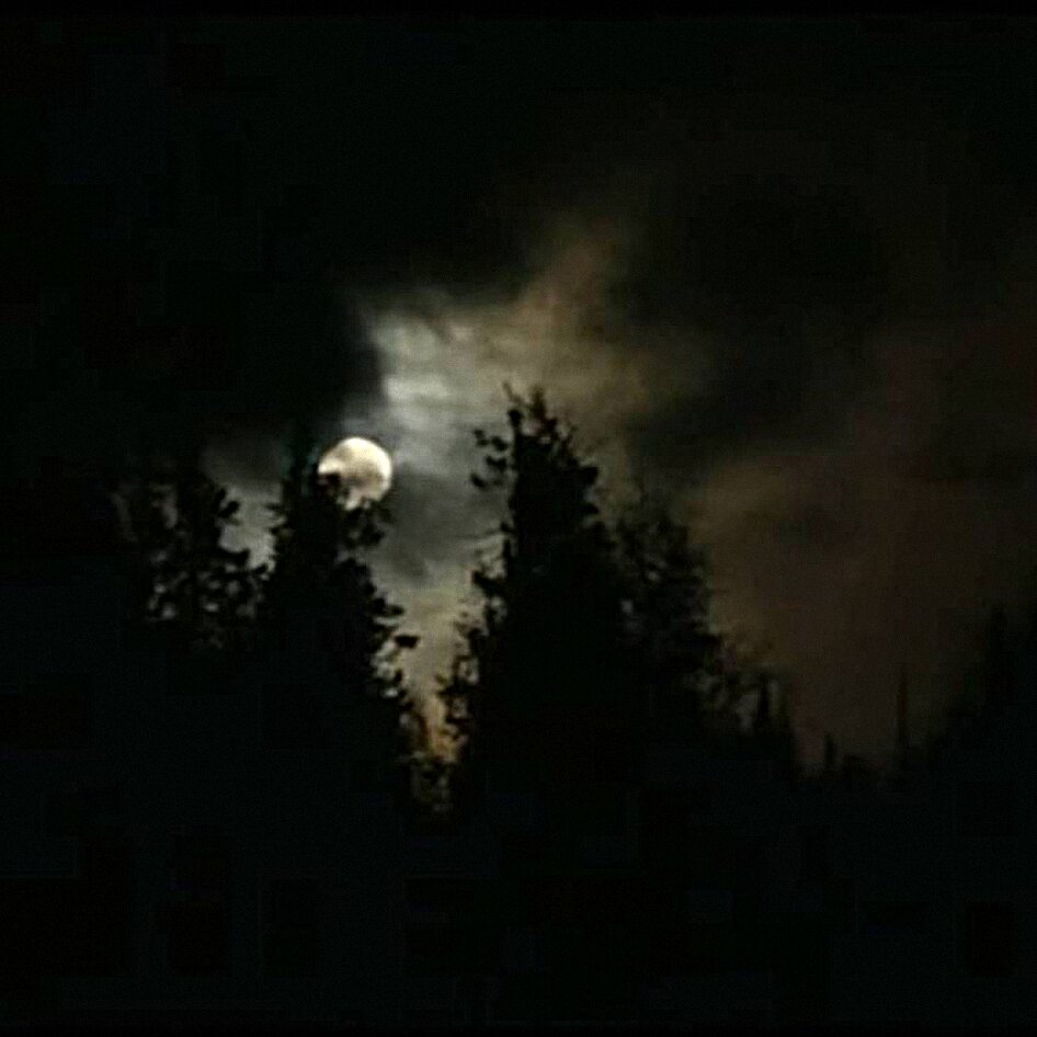 Скриншот кадра из видео №1