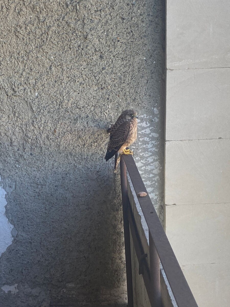 Побуду, на всякий случай, подальше...